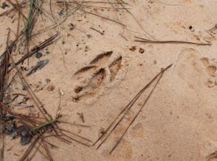 40 Ac Sunburst West Drive Ext, Crestview, FL 32539