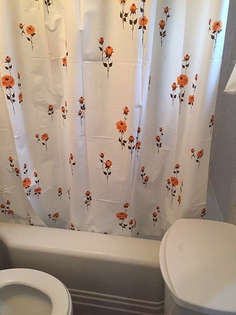 2nd image of 634 Humboldt St APT 2L
