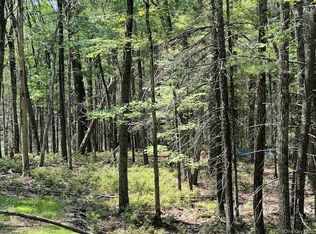 Lot 18 Hunczak Boulevard, Glen Spey, NY 12737