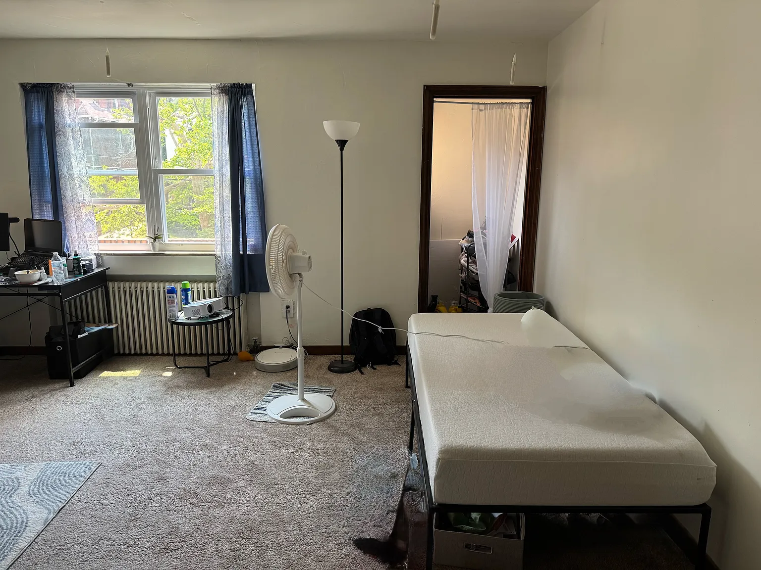 1 bed, 850 sqft, $1,245 — Photo 3