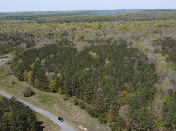 0 Pioneer Ln, Spencer, TN 38585