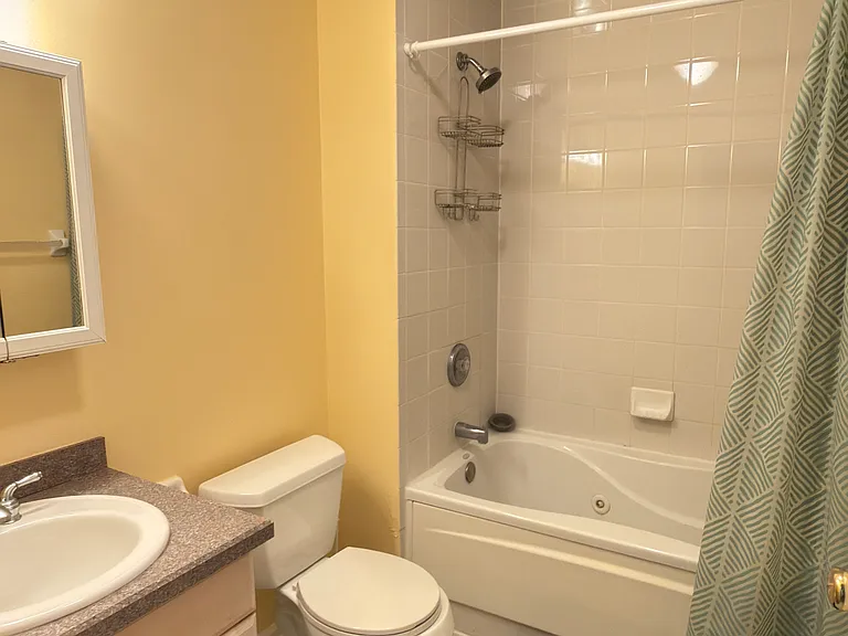 2nd bathroom with Jaccuzzi tub
