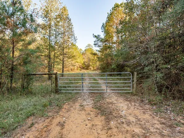 0 County Road 231, Eutaw, AL 35462