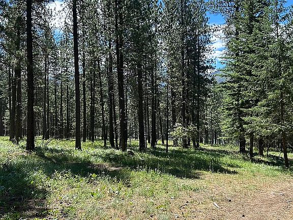 2nd image of 10 Munson Creek Rd