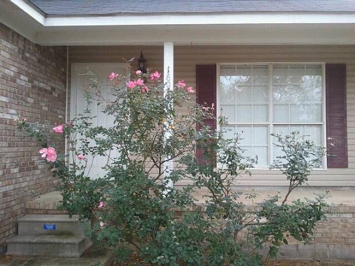 More at reeceroberts.com