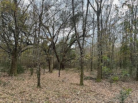 4th image of 19792 Rada Rd