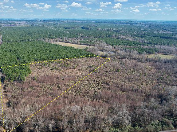 5th image of 159 Ellison Rd