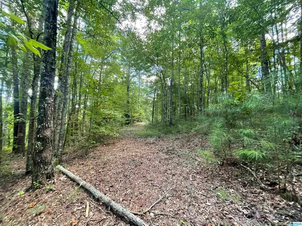 25715 Highway 431, Wedowee, AL 36278