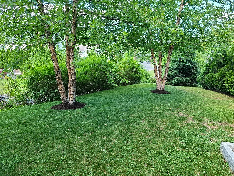 91 Maple St — Photo 7