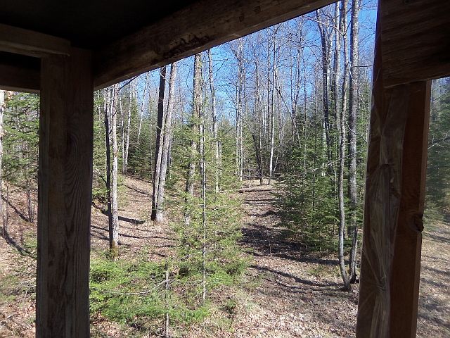 View from Deer Stand