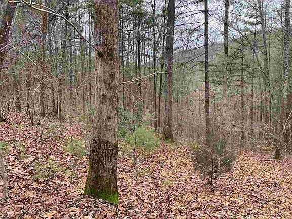5th image of LOT 21 Sugar Maple Way