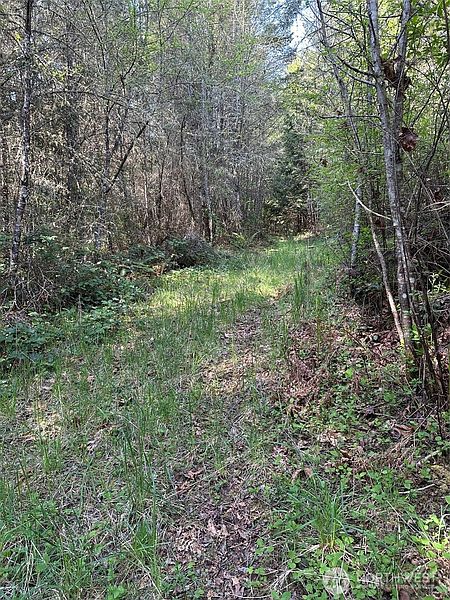 2nd image of 9999 Pristine Lane, Lot 3