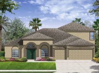 20107 Blue Daze Ave, Tampa, FL 33647