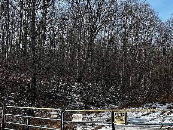 2nd image of 92 Coyote Ln