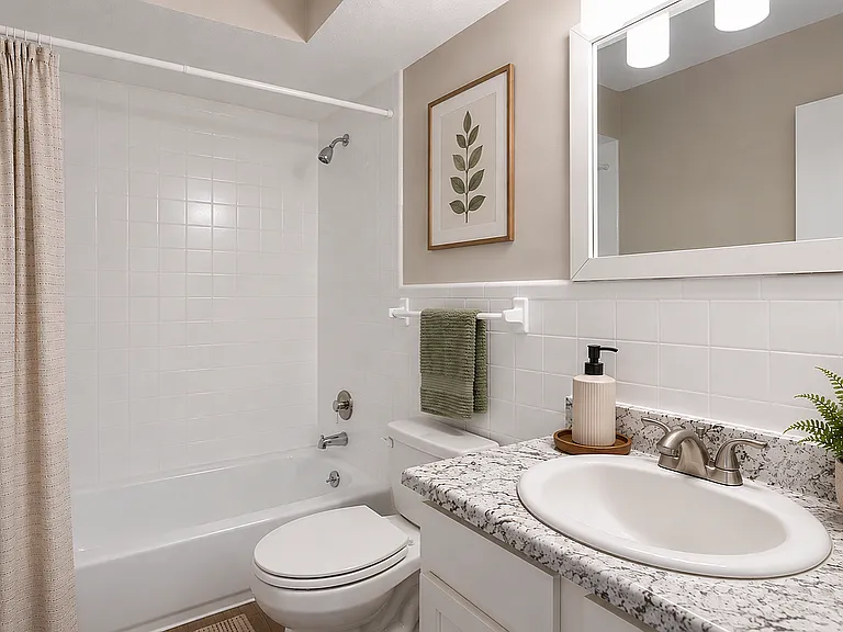 CarH Bathroom Staged