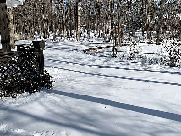 Back Yard East