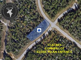 127 Gypsum Rd LOT 6, New Waverly, TX 77358