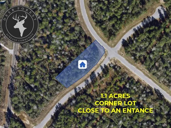 127 Gypsum Rd Lot 6, New Waverly, TX 77358