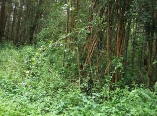 Waimea Rd, Pahoa, HI 96778