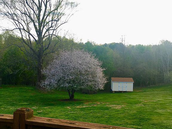 View from deck