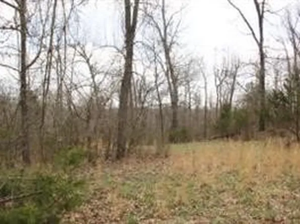 LOT 24 Dogwood Dr, Omaha, AR 72662