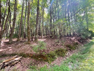 406 Tlvdatsi Dr, Brevard, NC, 28712