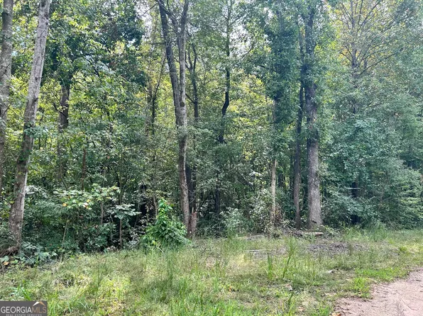 LOT Eight Moss Ln, Carnesville, GA 30521