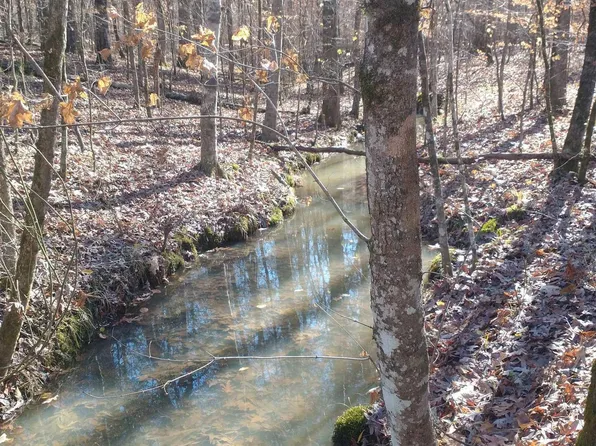 14 Wolf Creek Rd S #14.5, Pell City, AL 35128