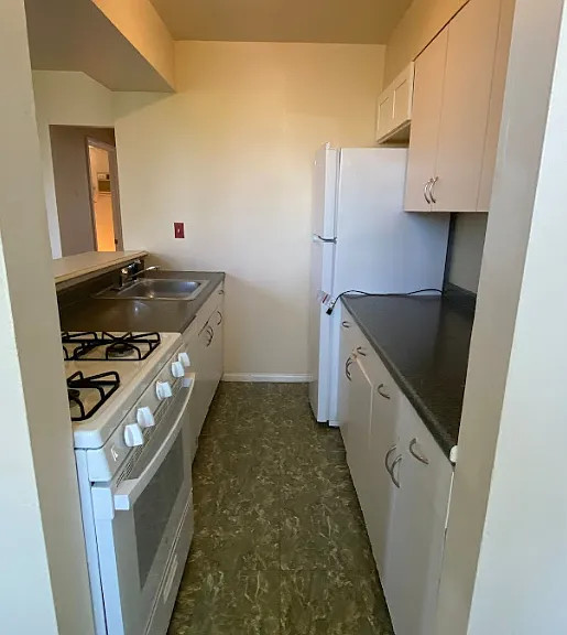 4520 Springfield Ave #B1 — Photo 2