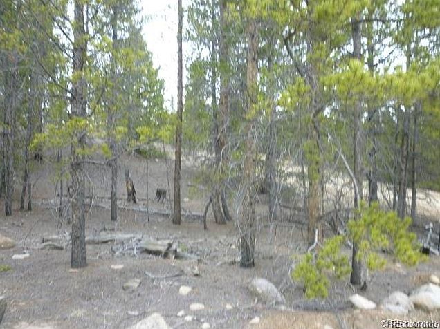 1st image of 247 Birch Dr