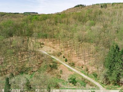 0 Hencoop Hollow Rd, Ellicottville, NY, 14731