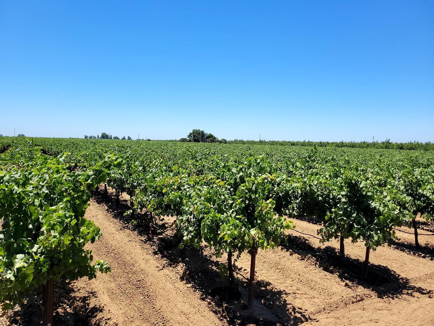 6860 E Jahant Rd, Acampo, CA 95220 MLS 223065071 Zillow