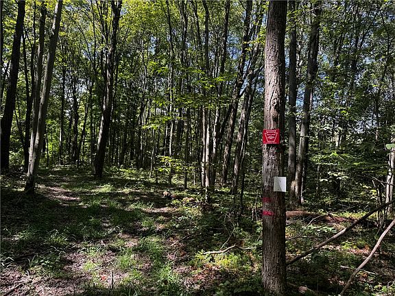 2nd image of 0 Slatertown Rd