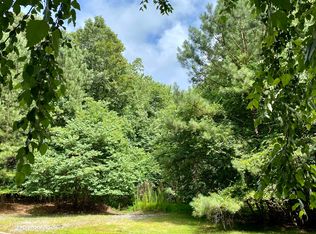 709 Thompson Falls Dr, Canton, GA 30114