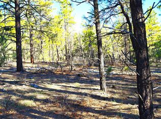 0 Tierra Bonita #S/D, Tierra Amarilla, NM 87575