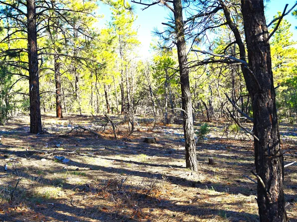 0 Tierra Bonita #S/d, Tierra Amarilla, NM 87575