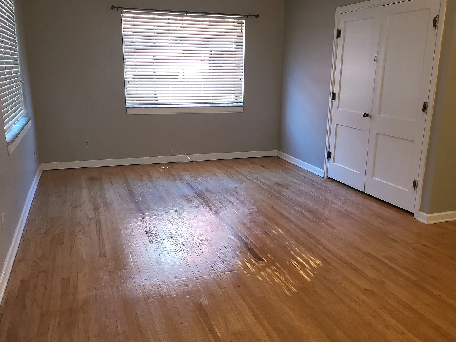 1 bed, 650 sqft, $695 — Photo 3