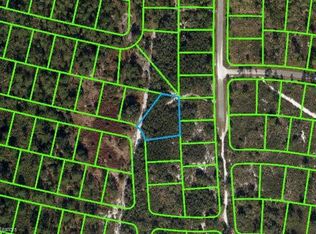 8444 Pavia St, Sebring, FL 33872