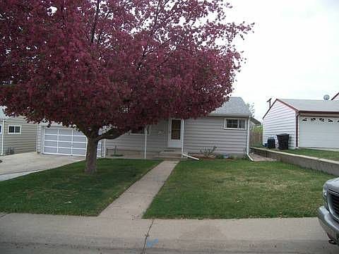 Beautiful Front Yard Tree