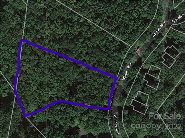 8 Whitney Blvd, Lake Lure, NC 28746