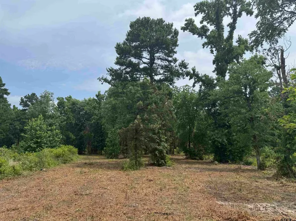 3162 Shadow Pine Dr, Larue, TX 75770