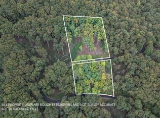 20 Buckhead Hls, Hiawassee, GA 30546