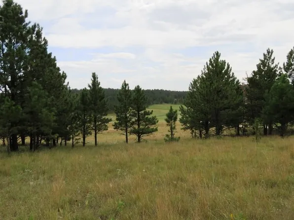 33 True Grit Trl, Custer, SD 57730