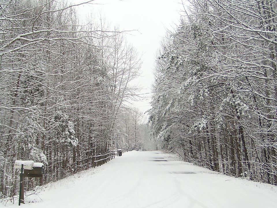 Antler Court after a snowfall