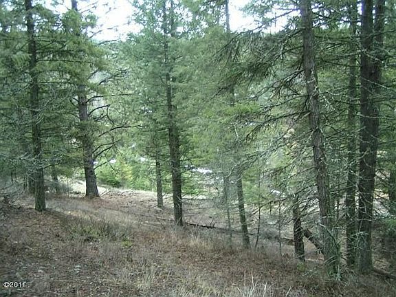 2nd image of 116 Little Mountain Ln