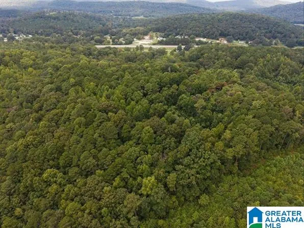 0 Cedar Dr #0, Oneonta, AL 35121