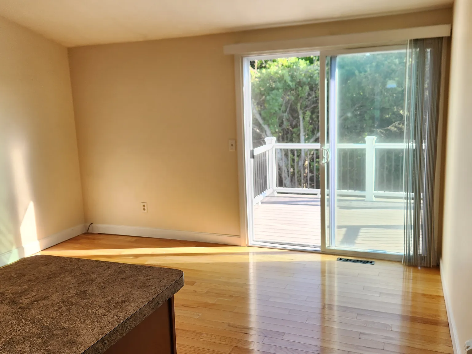 1 bed, $2,300 — Photo 4