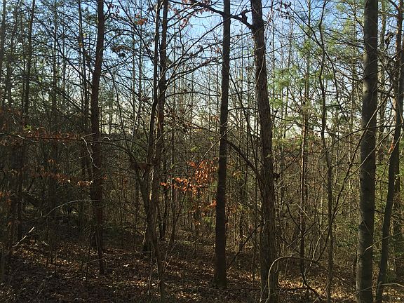 4th image of 1510 Johnathan Dr