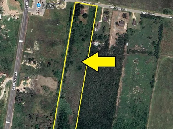 Fm 493, Edcouch, TX 78538