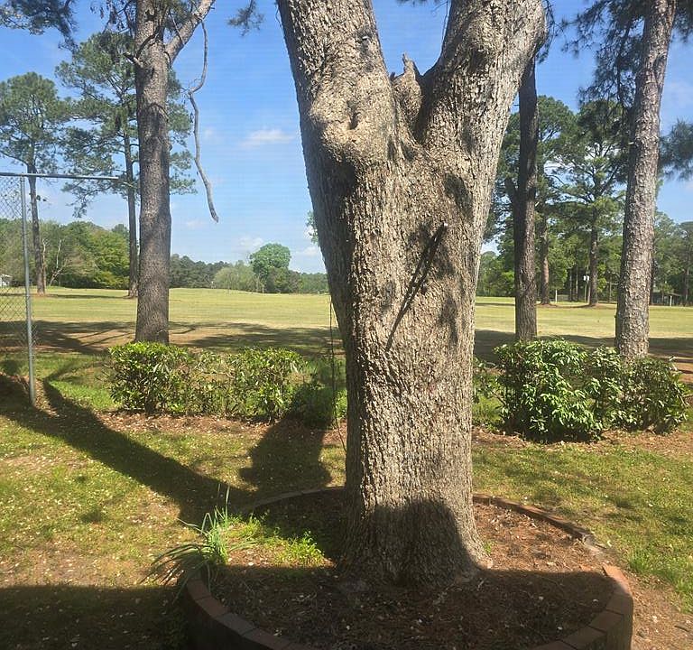 1st image of 118 Country Club Dr APT B